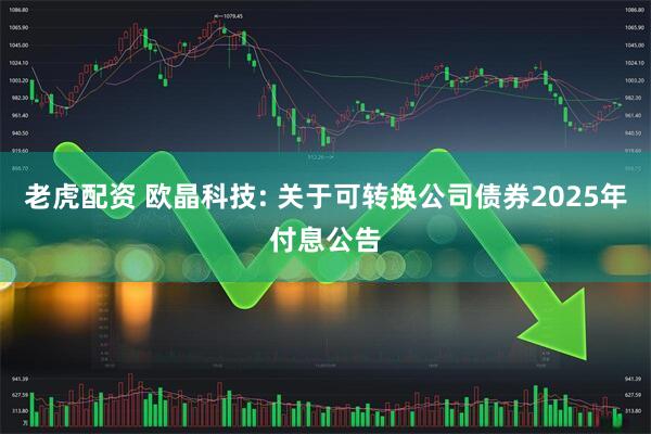 老虎配资 欧晶科技: 关于可转换公司债券2025年付息公告