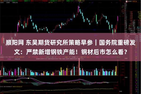 顺阳网 东吴期货研究所策略早参｜国务院重磅发文：严禁新增钢铁产能！钢材后市怎么看？