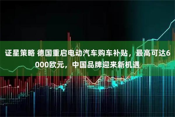 证星策略 德国重启电动汽车购车补贴，最高可达6000欧元，中国品牌迎来新机遇