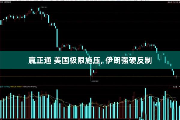 赢正通 美国极限施压, 伊朗强硬反制